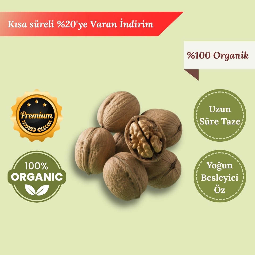 10 KG İnce Kabuklu Ceviz – Çıtır Doku, Geleneksel Lezzet - DAMAK ANTAKYA