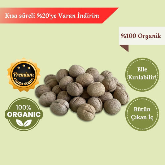 10 KG Kalın Kabuklu Ceviz – Doğal Koruma, Yoğun Lezzet - DAMAK ANTAKYA