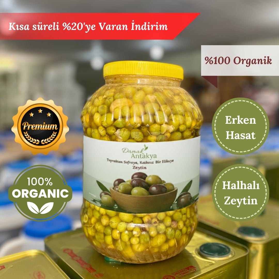 Halhalı Kırma Yeşil Zeytin (5 Lt Bidon) - Geleneksel Yeni Mahsul - DAMAK ANTAKYA